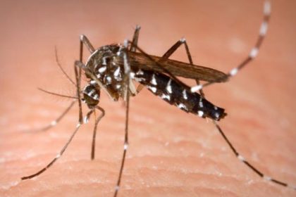 cum va puteti proteja de infectarea cu virusul west nile transmis de tantari avertismentul insp pentru aceasta perioada 66a8a8e68fde0