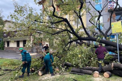 foto zeci de sesizari la primaria constanta dupa codul rosu de noaptea trecuta copaci cazuti canalizari infundate si cabluri cazute pe masini 66d2f521bfa60