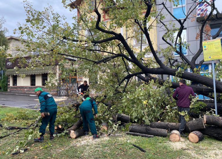 foto zeci de sesizari la primaria constanta dupa codul rosu de noaptea trecuta copaci cazuti canalizari infundate si cabluri cazute pe masini 66d2f521bfa60