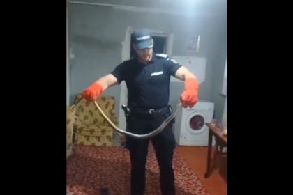 musafir nepoftit depistat intr o casa din localitatea arsa judetul constanta video 66c49b65be557