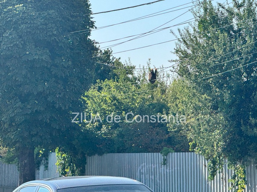 pericol pentru pietoni in zona podului ipmc din constanta un bustean sta atarnat de cablurile de electricitate galerie foto 66c88b768863a