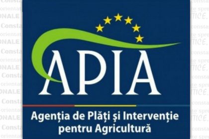 peste 7 000 de cereri de plata depuse pentru interventiile aferente sectorului apicol 2024 66c60f2515a92