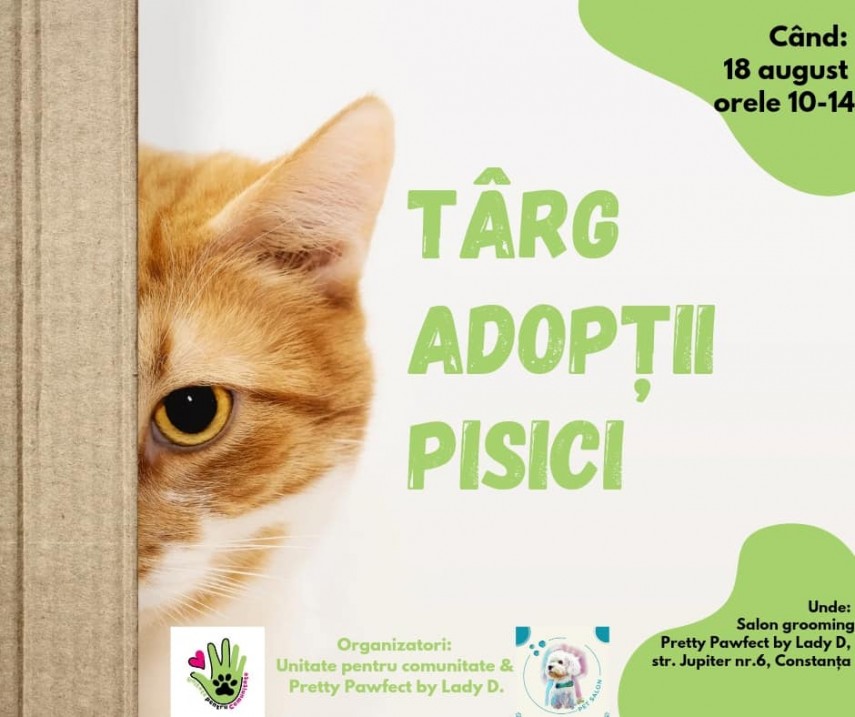 primul targ de adoptii pisici organizat la constanta 66b9e7492cb2b