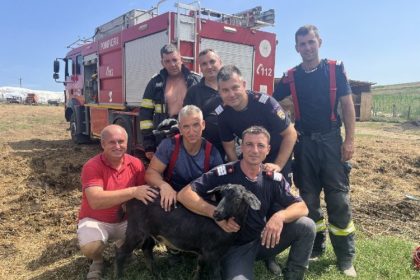 video pompierii tulceni au salvat o caprita dintr o fantana 66c60d9cc27ee