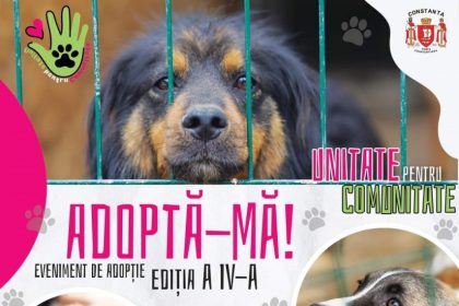 eveniment inedit de adoptie de caini in parcul garii din constanta 66ebdd1ed7212