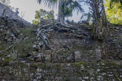 foto un intreg oras mayas a fost descoperit sub o jungla include piramide temple si piete 66f252c2715a9