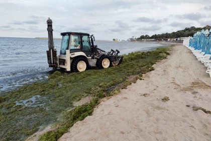 licitatie de milioane pentru un litoral mai curat abadl cauta firme pentru curatarea plajelor indepartarea algelor si alte servicii 66eb559ad0a4d