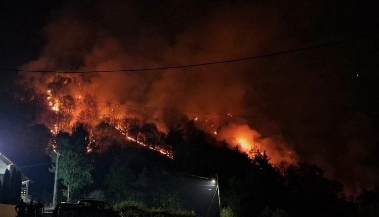 mai multi petrecareti au dat foc unui versant incendiul s a extins pe 20 hectare 66d6b28f98eff