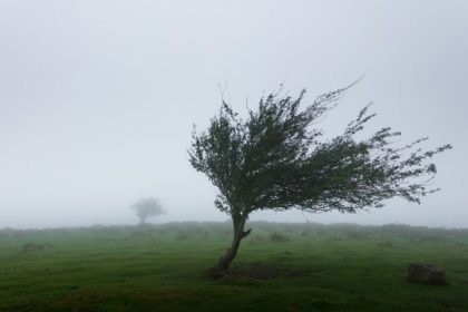 s a incheiat un nou comandament energetic pe fondul avertizarilor meteo anuntul ministrului energiei 66f7f19a52fa1