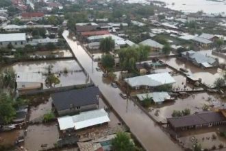 sute de animale au murit in inundatiile provocate de ciclonul boris in judetele galati si vaslui 66ed7725e7a40