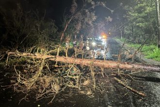 urmarile codului portocaliu de la constanta copaci cazuti si case inundate 66fa4c2c9000a