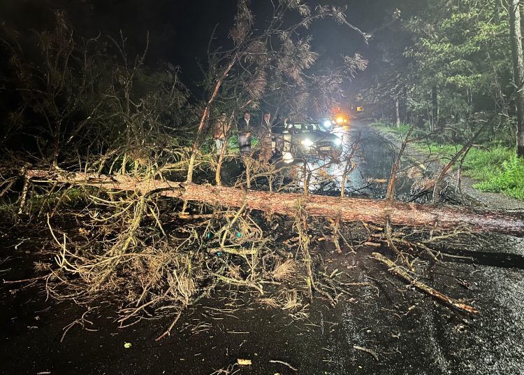 urmarile codului portocaliu de la constanta copaci cazuti si case inundate 66fa4c2c9000a