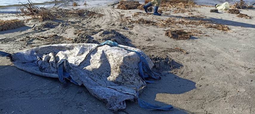 actiune de ecologizare a zonelor costiere din rezervatia biosferei delta dunarii zona sulina foto 67123a92c0fb0