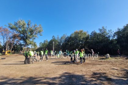 actiune de ecologizare la palatul copiilor din constanta echipa constantarestart prezenta la eveniment galerie foto 6713783149c28