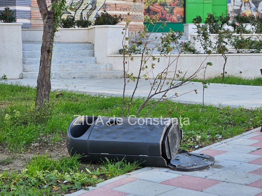 cos de gunoi vandalizat in zona trocadero din constanta 670f6258dd2b8