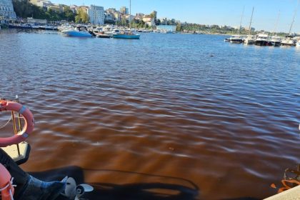 fotovideo apa marii din portul tomis este sangerie 6713aa632df0c