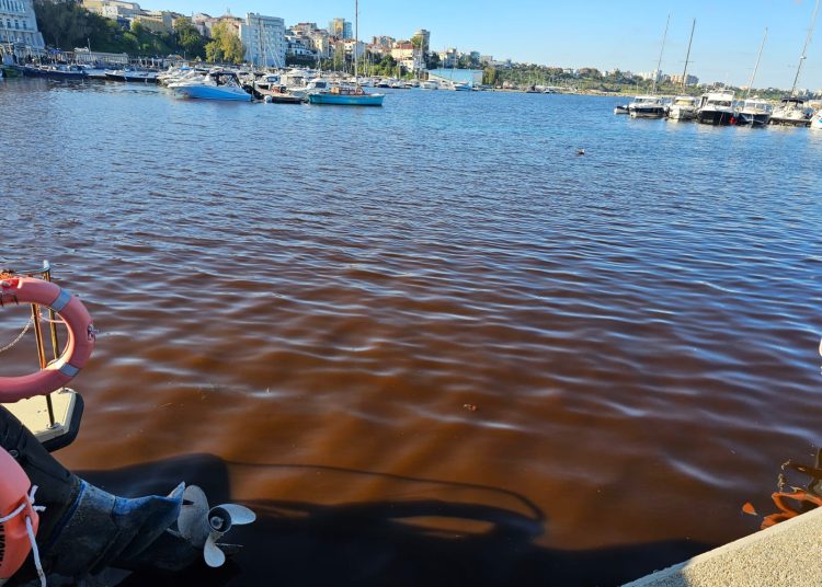 fotovideo apa marii din portul tomis este sangerie 6713aa632df0c