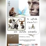 o expozitie ineditae28892 in oglinda timpului la pas prin evolutia primatelor la centrul muzeal ecoturistic delta dunarii tulcea 670669e2c14e7