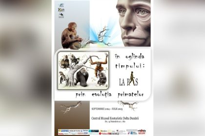 o expozitie ineditae28892 in oglinda timpului la pas prin evolutia primatelor la centrul muzeal ecoturistic delta dunarii tulcea 670669e2c14e7