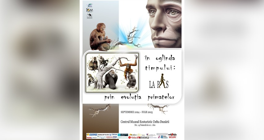 o expozitie ineditae28892 in oglinda timpului la pas prin evolutia primatelor la centrul muzeal ecoturistic delta dunarii tulcea 670669e2c14e7