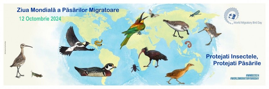 ziua mondiala a pasarilor migratoare 12 octombrie 2024 670a151a25791