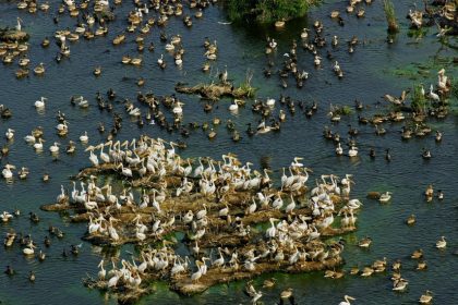 3 noiembrie o zi dedicata protejarii biodiversitatii in rezervatiile biosferei 672759fe81317