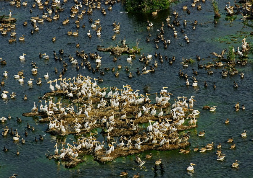 3 noiembrie o zi dedicata protejarii biodiversitatii in rezervatiile biosferei 672759fe81317