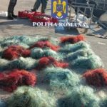 ambarcatiune ascunsa in stuf depistata de politistii serviciului de politie delta dunarii video 67273a79edb66