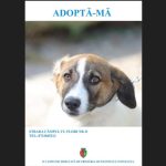 constantenii se alatura campaniei adopta un catel 673da55e1dc35