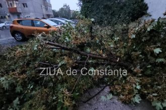 copaci si crengi cazute pe strazile din constanta unul a cazut peste o masina 674064eba5b93