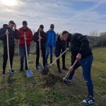 galerie fotovideo actiunea centrului cultural judetean constanta teodor t burada au fost plantati copaci in zona universitatii ovidius 6748315a1ae15