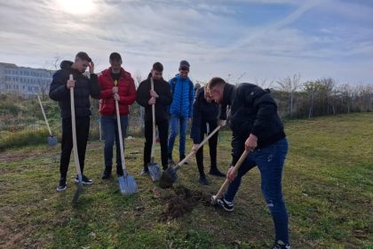 galerie fotovideo actiunea centrului cultural judetean constanta teodor t burada au fost plantati copaci in zona universitatii ovidius 6748315a1ae15