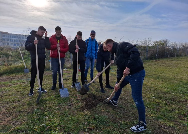 galerie fotovideo actiunea centrului cultural judetean constanta teodor t burada au fost plantati copaci in zona universitatii ovidius 6748315a1ae15