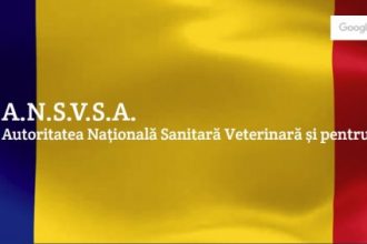 lansare oficiala a portalului veterinar ansvsa atlas vet portal 67248111c0f58