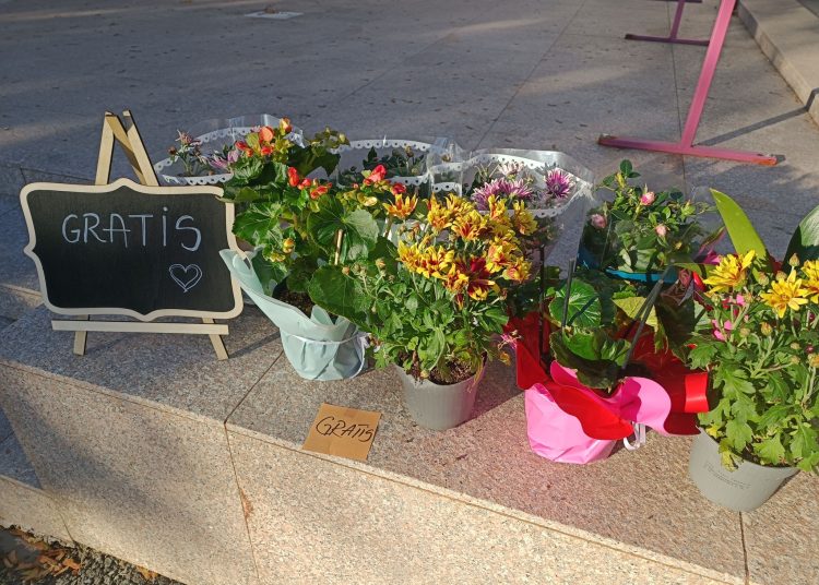 o florarie din techirghiol ofera marfa gratis decat sa se ofileasca la noi mai bine sa infloreasca la voi 672a29d366ff5