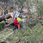 ravagii la constanta pe timpul codului galben de vant copaci cazuti inclusiv peste masini 674061bb88773