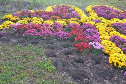 spatiile verzi din constanta recent amenajate au fost vandalizate 673c91ef1c865