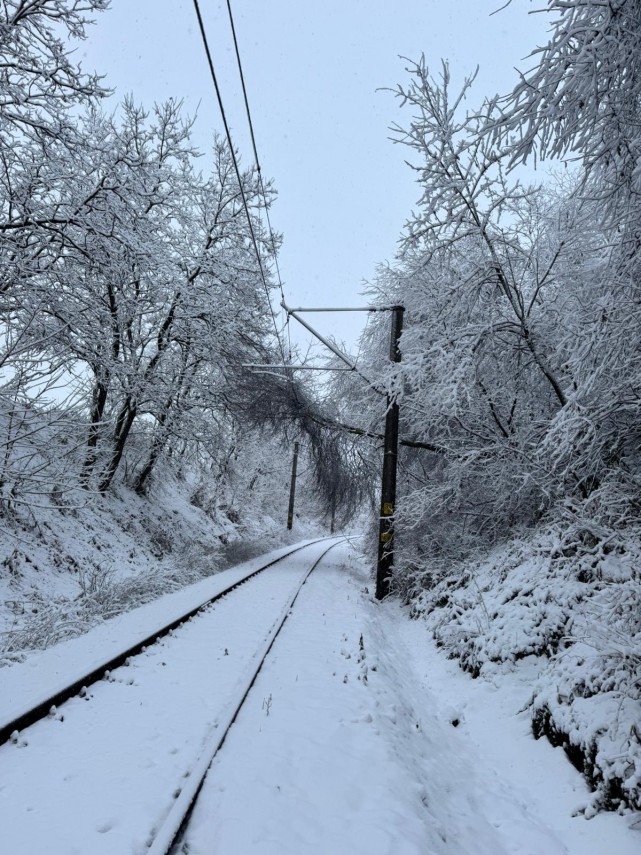 trafic feroviar afectat de vremea nefavorabila situatie actualizata 673f23d03526c