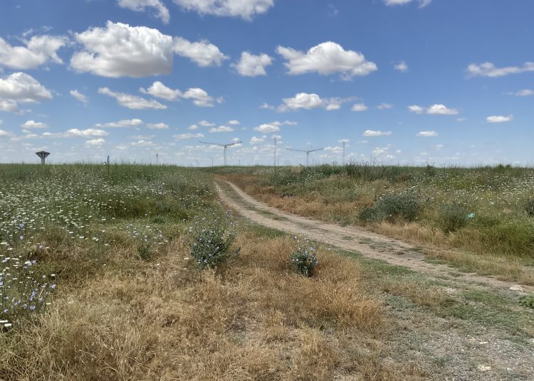 constanta in topul judetelor in care au fost vandute cele mai multe terenuri agricole 6758555f25b47