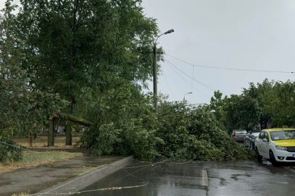 copaci rupti un stalp cazut si cabluri pe carosabil din cauza vantului puternic in constanta 676c114d3026d