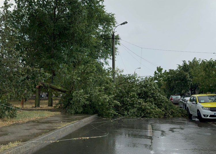 copaci rupti un stalp cazut si cabluri pe carosabil din cauza vantului puternic in constanta 676c114d3026d