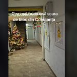 cum arata cea mai frumoasa scara de bloc din constanta de sarbatori video 676eb28897b97