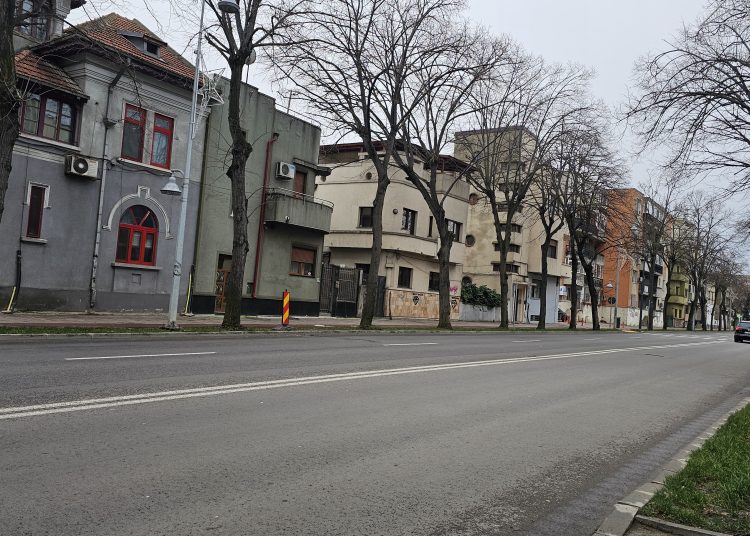 galerie foto video de ce au disparut cosurile stradale de gunoi din mai multe zone din constanta iata ce spune administratia locala 675f6a9e5ba3d