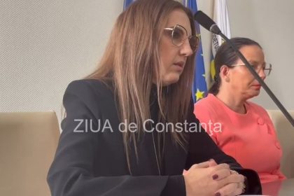 mihaela ristea de la dgaspc despre controlul la centrul de plasament micul rotterdamvideo 6763e99fad7bf