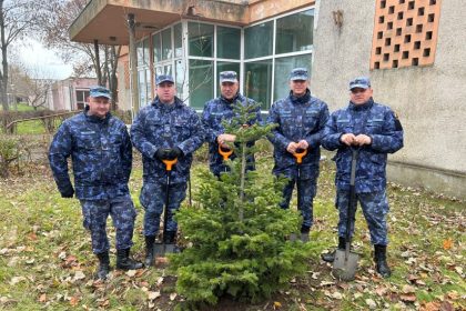 militarii din garnizoana mangalia alaturi de padurea copiilor planteaza pentru viitorul romaniei foto 675059012acc5