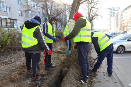 mobilizare pe bulevardul aurel vlaicu pentru refacerea gardului viu 676186f80f4cf