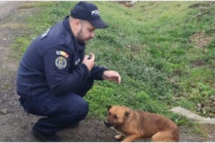 politia animalelor a amendat cu 12 000 de lei un barbat care a abandonat un catel pe marginea drumului 67597a5403786