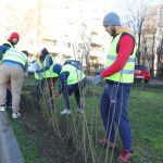 primaria constanta campania de refacere a spatiilor verzi continua in cartierul poarta 6 67655a2b425b1