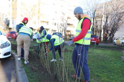 primaria constanta campania de refacere a spatiilor verzi continua in cartierul poarta 6 67655a2b425b1