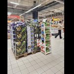 program auchan de sarbatori vezi cand poti face ultimele cumparaturi inainte de anul nou 676f9ce7e2116